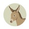 Donkey young head face vector illustration