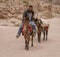 Donkeys Are Common Transport Animals in Petra Jordan