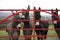 Donkeys at gate in Ireland