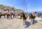 Donkeys on Greek island