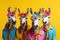 Donkeys in a group, vibrant bright fashionable outfits at birthday party. Generative AI