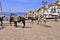 Donkeys at Hydra island Greece