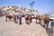 Donkeys the means of transport at Hydra island Saronic Gulf Greece