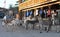 Donkeys in Old Mining Town