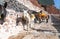 Donkeys saddled and tethered standing in sun on steps at Oia on Greek island of Santorini