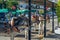 Donkeys in the town of Mijas, Andalusia, southern Spain