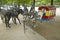 Donkeys waiting to be ridden at donkey ride in park, Paris, France