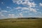 Donkeys Walking Toward Fence in Custer State Park South Dakota