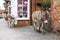 Donkeys walking through town in England, New Forest