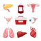 Donor Organs with Liver and Lungs for Transplantation Vector Set