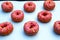 Donut donuts sprinkles on doughnuts pink bright sugar strands background