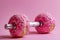 Donut dumbbell, bad fitness nutrition. Creative concept for a healthy lifestyle, sport and bodybuilding. Weight training and wrong