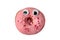 Donut with pink frosting and huge eyes isolated on white background. Funny doughnut character