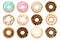 Donuts with icing, sprinkles, black and white chocolate. Set of colorful doughnut . Cartoon style