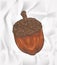 Doodle acorn isolated in blank paper