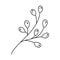 Doodle branch with berries isolated. Vector line art hand drawn illustration of a tree twig