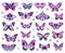 Doodle butterflies insect. Hand drawn spring insects, colorful flying papillon. Drawing butterflies isolated vector