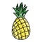 Doodle delicious pineapple fresh fruit nutrition