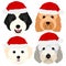 Doodle dogs with Santa hats