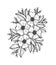 Doodle floral pattern in black and white. Page for coloring book: very interesting and relaxing job for children and adults