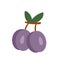 Doodle fruit icon