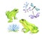 Doodle green frogs and dragonflies. Watercolor.