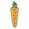 Doodle healthy carrot fresh organic vegetable
