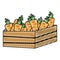Doodle healthy carrot vegetables inside wood basket