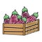Doodle healthy eggplants vegetables inside wood basket