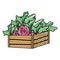 Doodle healthy onion vegetables inside wood basket