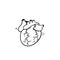 Doodle human heart. Anatomically correct heart with venous system.line art cartoon