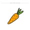 Doodle icon. carrot. vector illustration