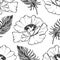 Doodle monochrome poppies feathers seamless pattern background texture vector