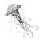 Doodle sketch medusa jellyfish black line