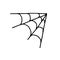 Doodle spider web illustration