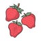Doodle Strawberry fruit vector illustration