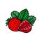 Doodle strawberry On White Background