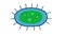 Doodle style animation of cute virus bacteria