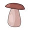 Doodle style porcini mushroom white boletus , bright edible porcini mushroom with a dark cap on a light stem