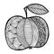 Doodle surreal fantasy apple coloring page for adults. Hand drawn simple illustration.