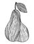 Doodle surreal fantasy pear coloring page for adults. Hand drawn simple illustration.