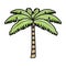 Doodle tropical palm nature tree style
