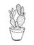 Doodle vector illustration cactus house plant  isolated on white