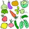 Doodle of vegetable various set collection