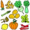 Doodle of vegetable various set vector art