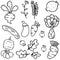 Doodle of vegetable various vector