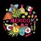 Doodles hand drawn science illustration of Mexico. Vector illust