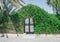 Dooe, Garden Door Decorative with a bush,  garden green leaves wall and steel door, natural wall green leaves background