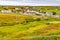 Doolin village with houses and farm fields