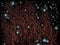 Doom sky of dark energy, Generative AI Illustration